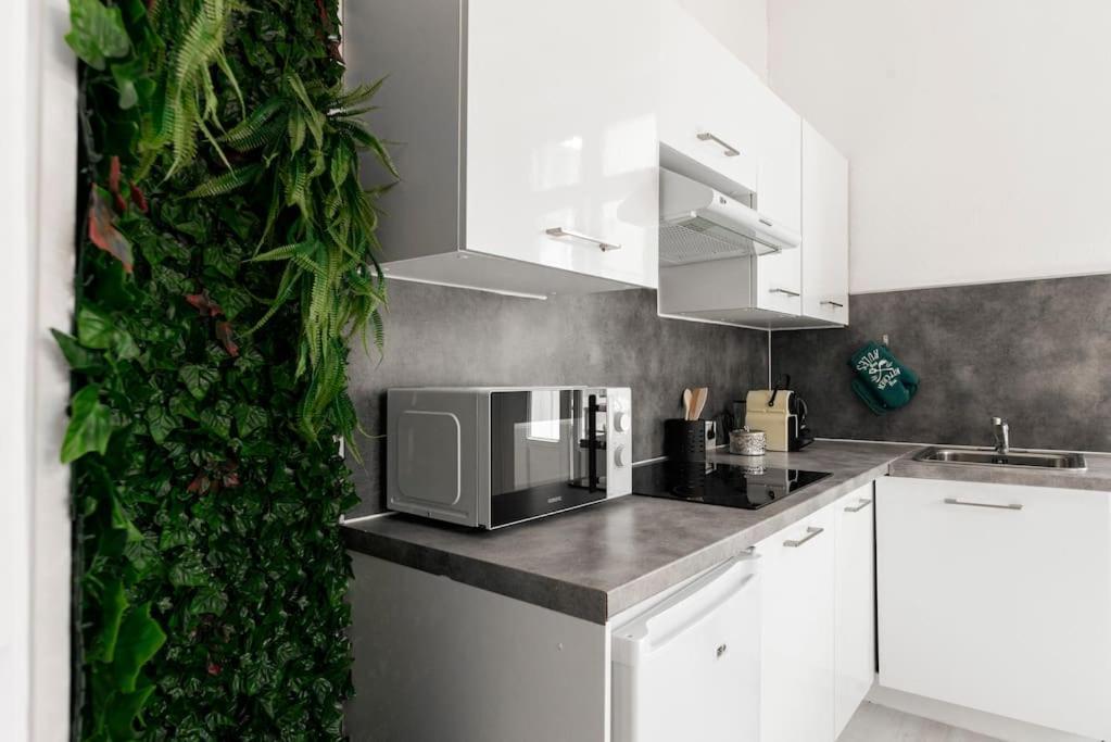 Charmant Studio Arbore Et Climatise Carcassonne Zewnętrze zdjęcie
