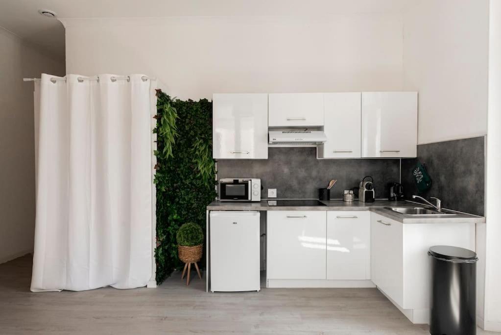 Charmant Studio Arbore Et Climatise Carcassonne Zewnętrze zdjęcie