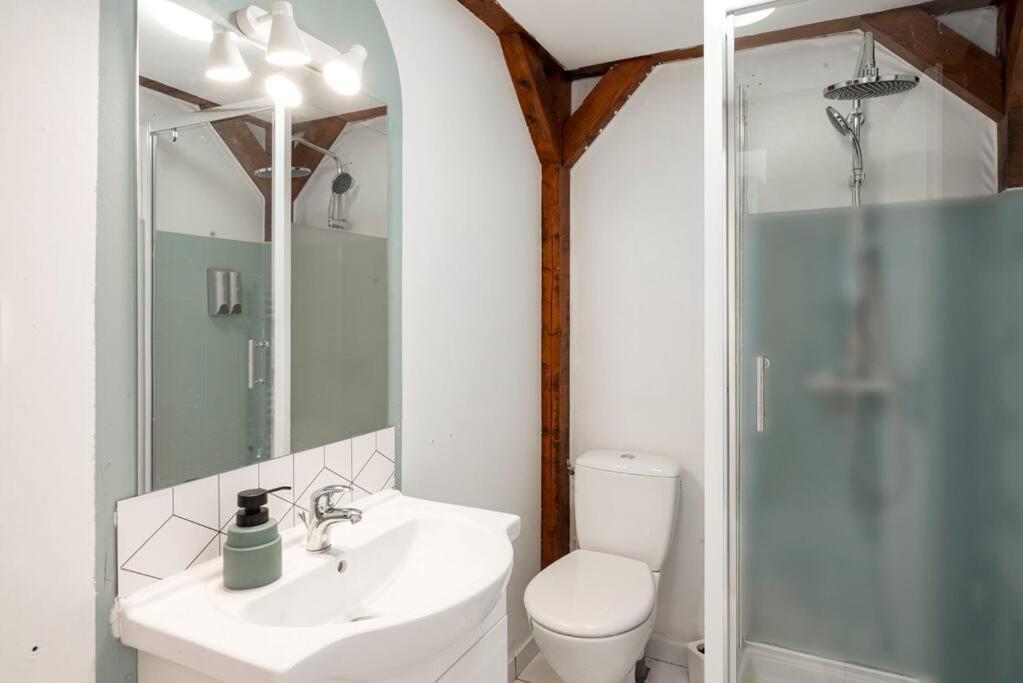 Charmant Studio Arbore Et Climatise Carcassonne Zewnętrze zdjęcie