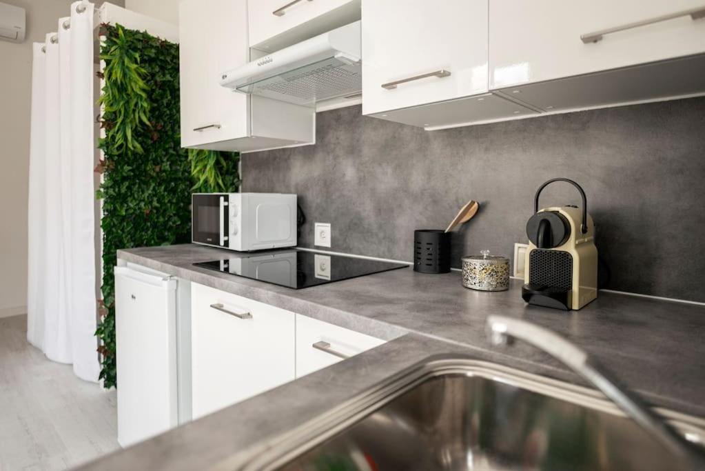 Charmant Studio Arbore Et Climatise Carcassonne Zewnętrze zdjęcie